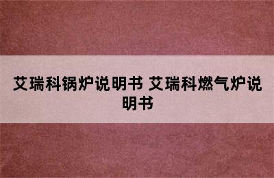 艾瑞科锅炉说明书 艾瑞科燃气炉说明书